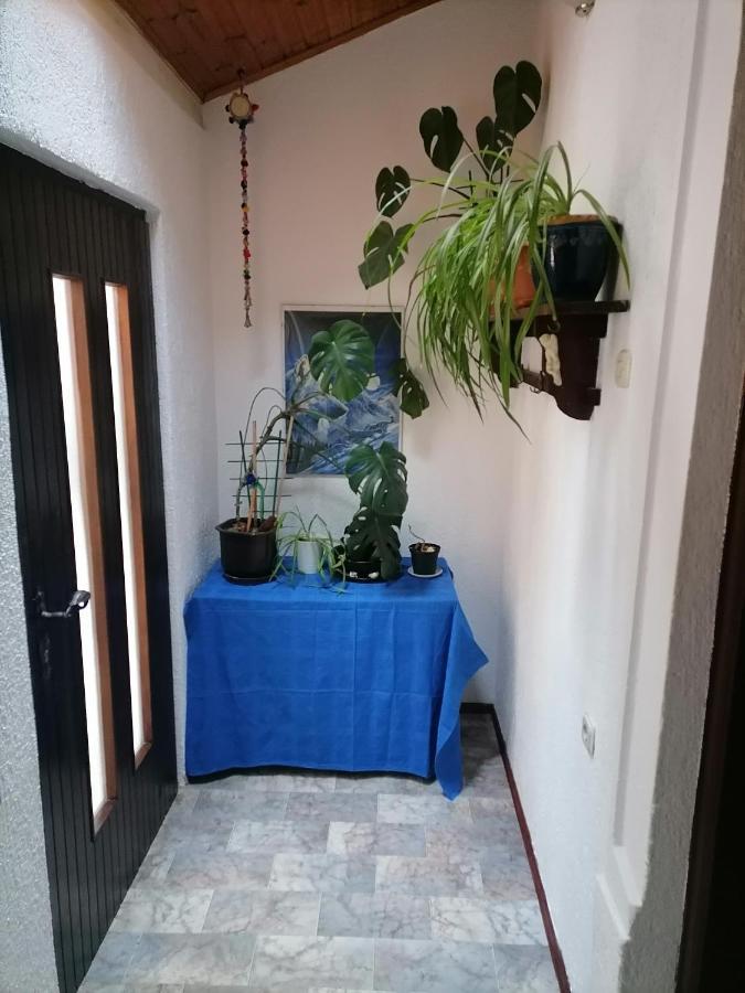 Apartman Zepina 普拉 外观 照片