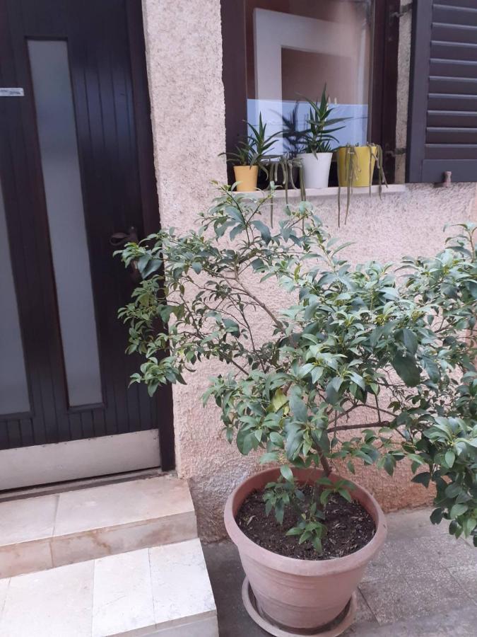 Apartman Zepina 普拉 外观 照片